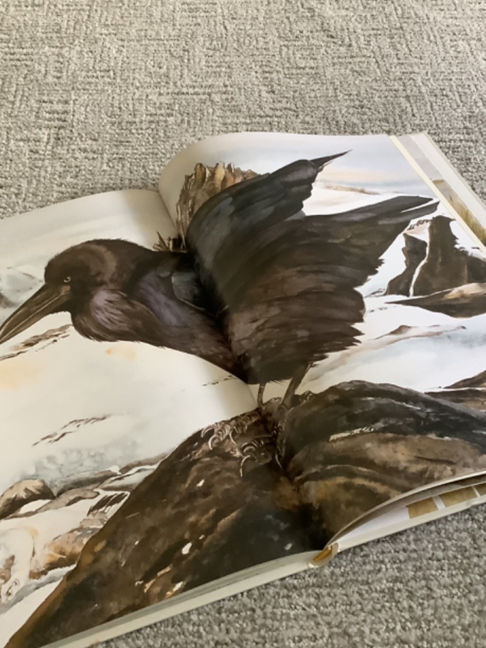 Bundle: The Lost Words Book and Puzzle - Picture 7 of 13